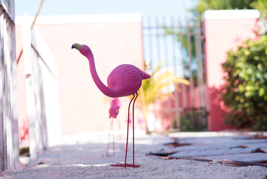Photo of Outdoor in Nassau