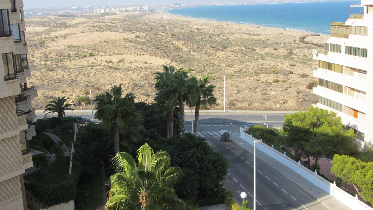Photo of Others in Los Arenales del Sol