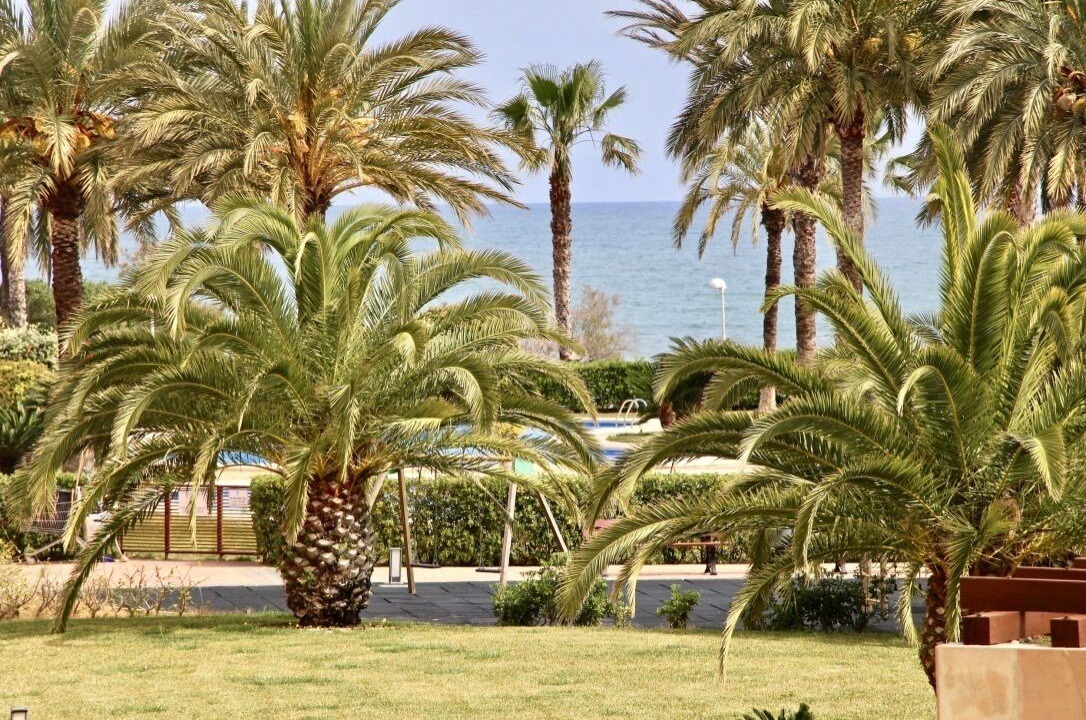 Photo of Others in Almadrava Beach