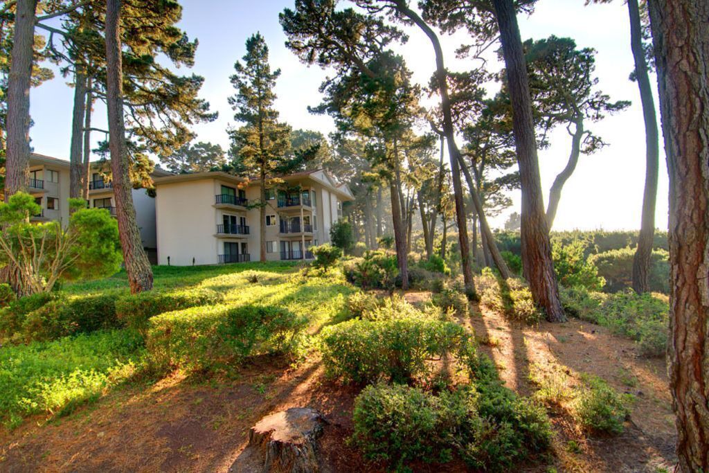 Photo of Outdoor in Monterey