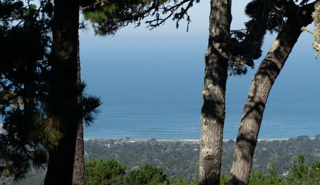 Photo of Others in Monterey
