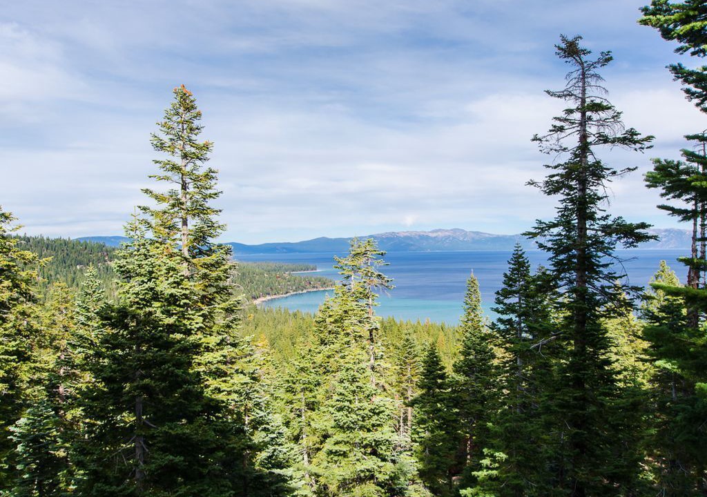 Photo of Others in Tahoma