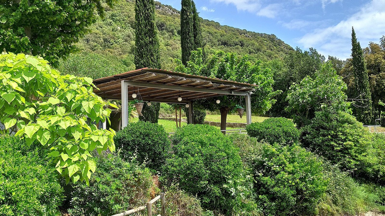 Photo of Outdoor in Amer