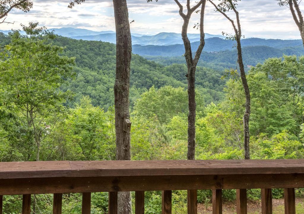Photo of Outdoor in Sylva