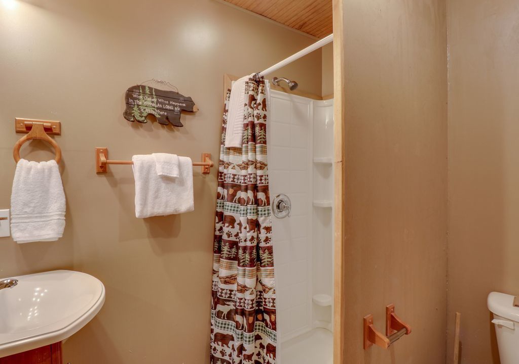 Photo of Bathroom in Sylva