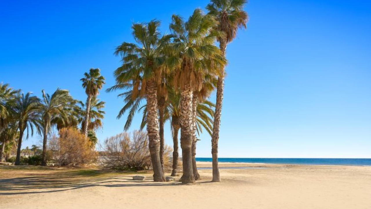 Photo of Others in Cambrils