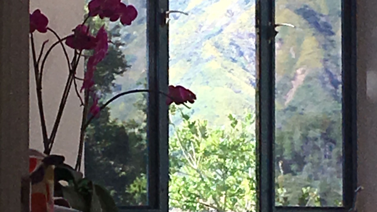 Photo of Others in Big Sur