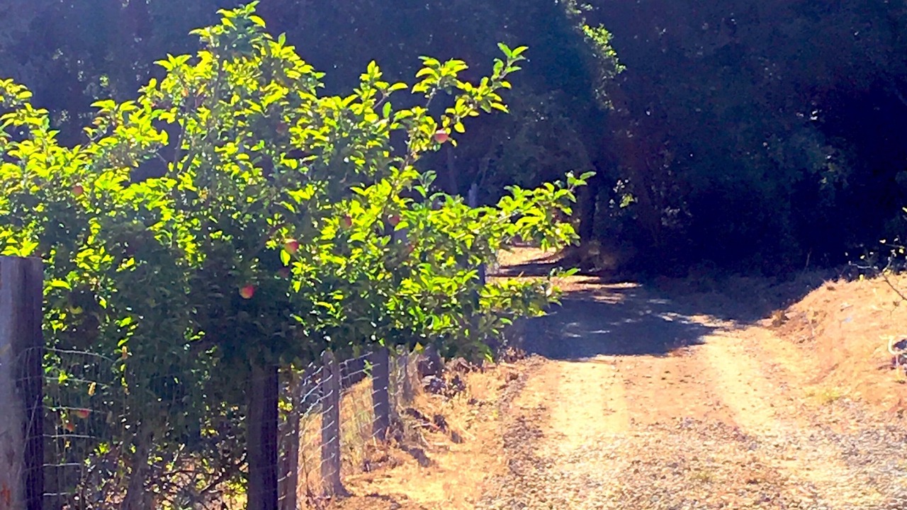 Photo of Others in Big Sur
