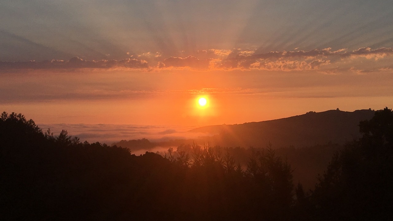 Photo of Others in Big Sur