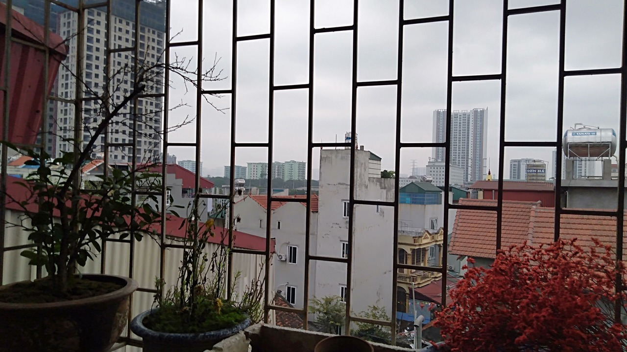 Photo of Others in Thanh Tri