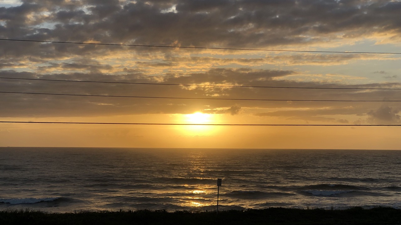 Photo of Others in Ormond-by-the-Sea