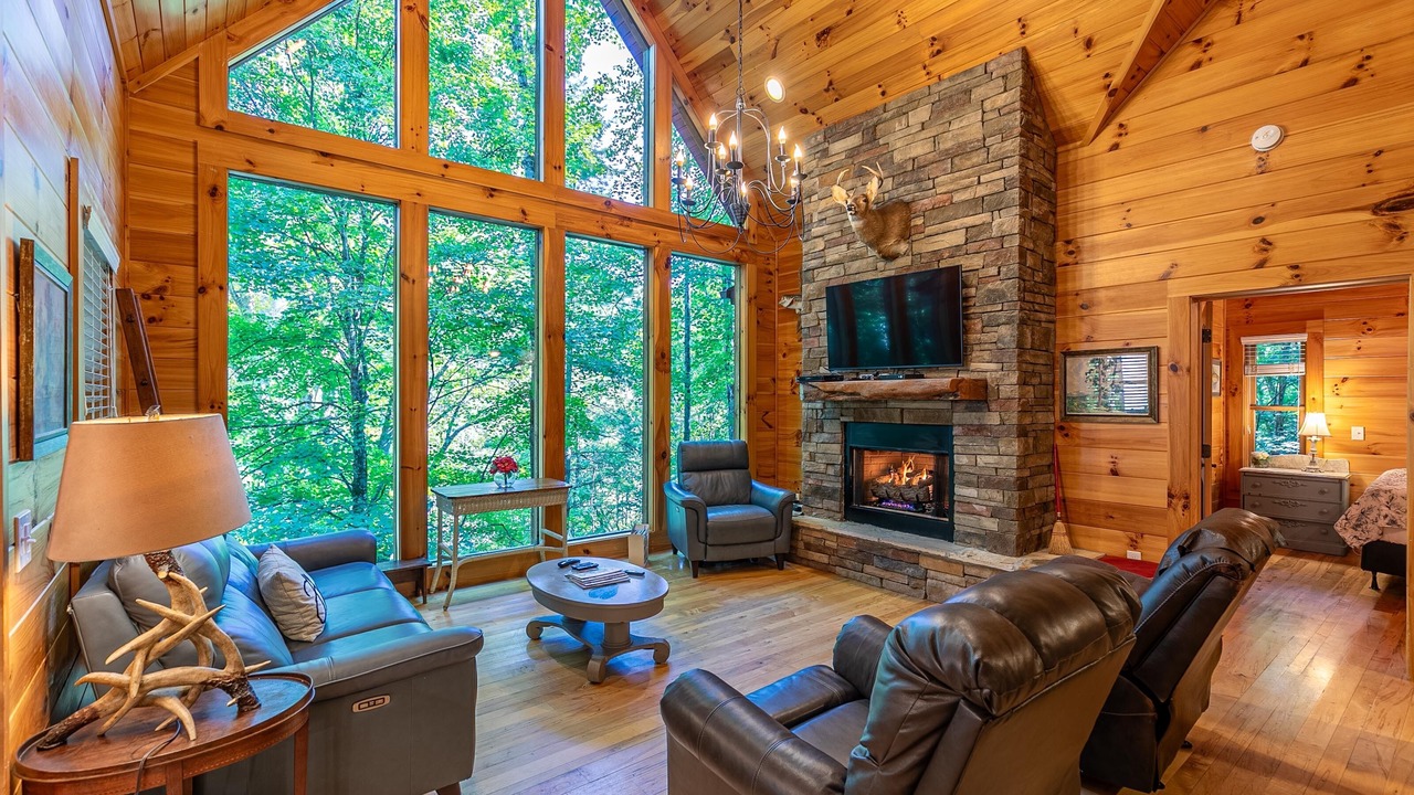 Photo of Livingroom in Elk Park