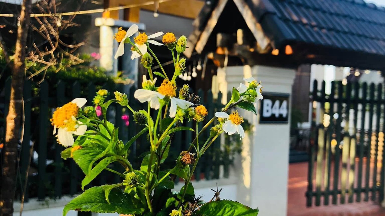 Photo of Outdoor in Phuong