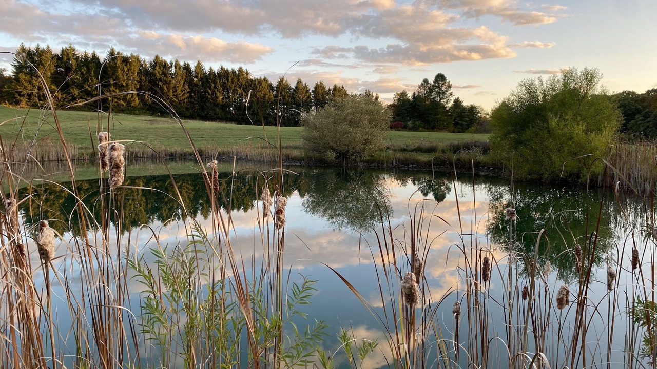 Photo of Outdoor in Staatsburg