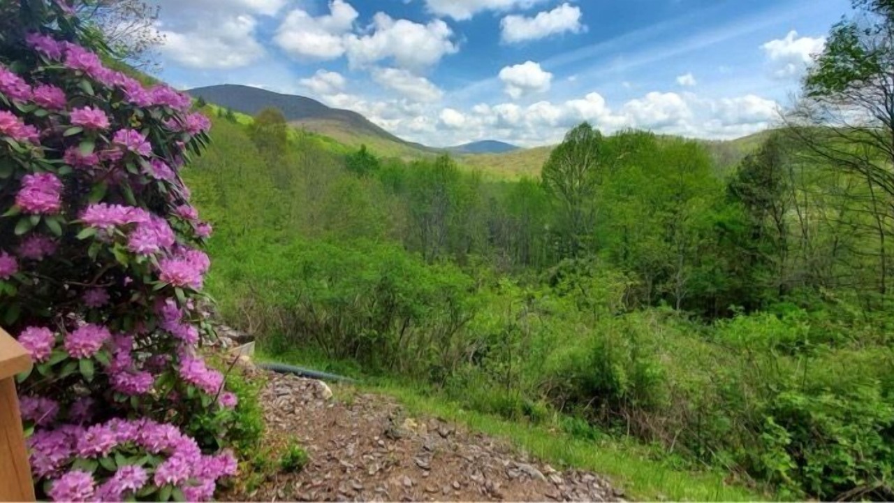 Photo of Outdoor in Todd