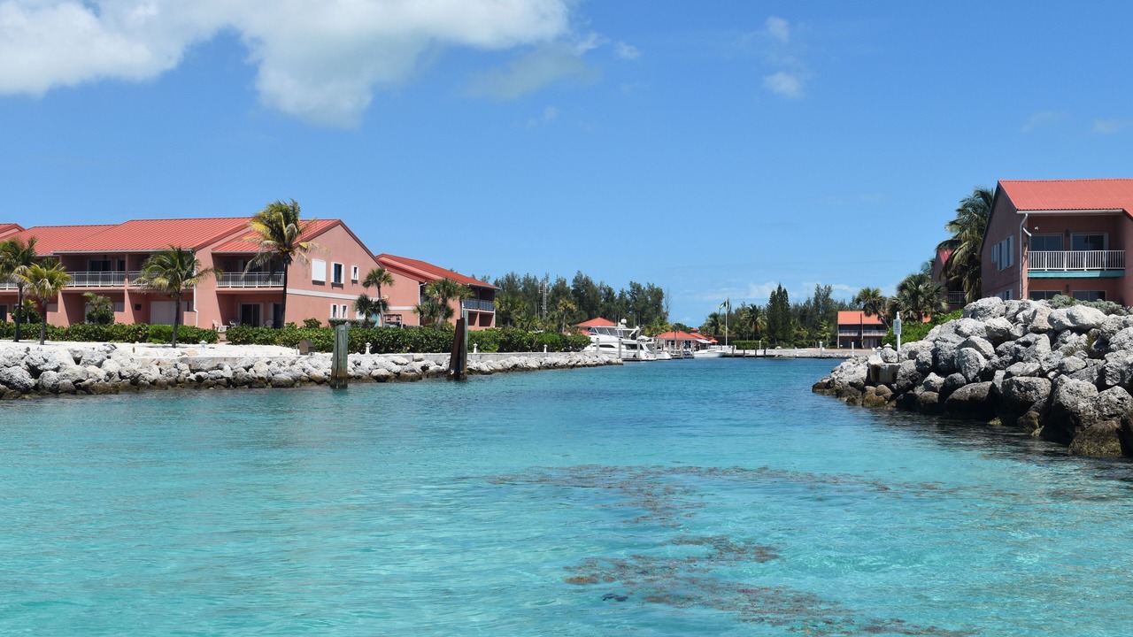 Photo of Others in South Bimini