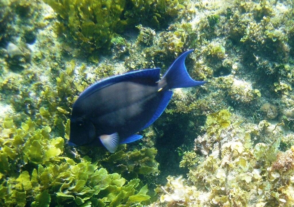Photo of Others in Governor's Harbour