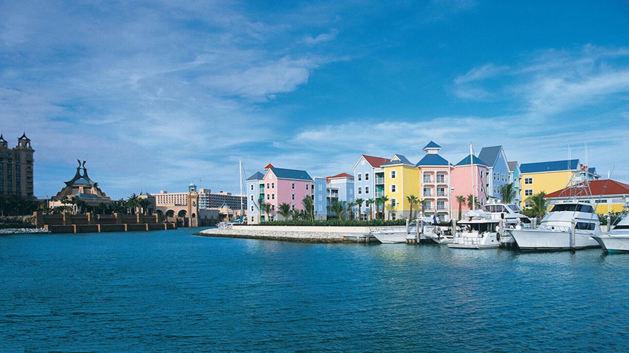 Photo of Others in Paradise Island