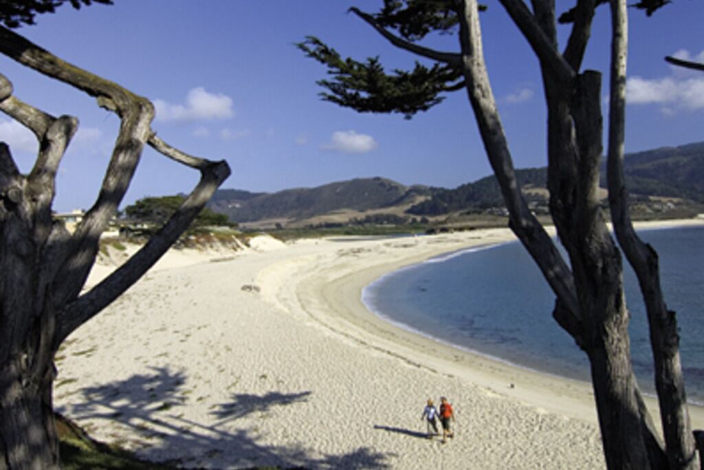 Photo of Others in Northwest Carmel