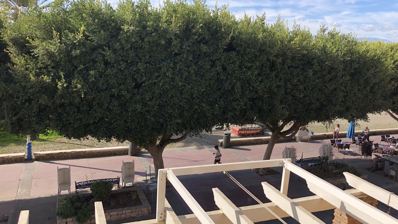 Photo of Outdoor in Playas del Palo