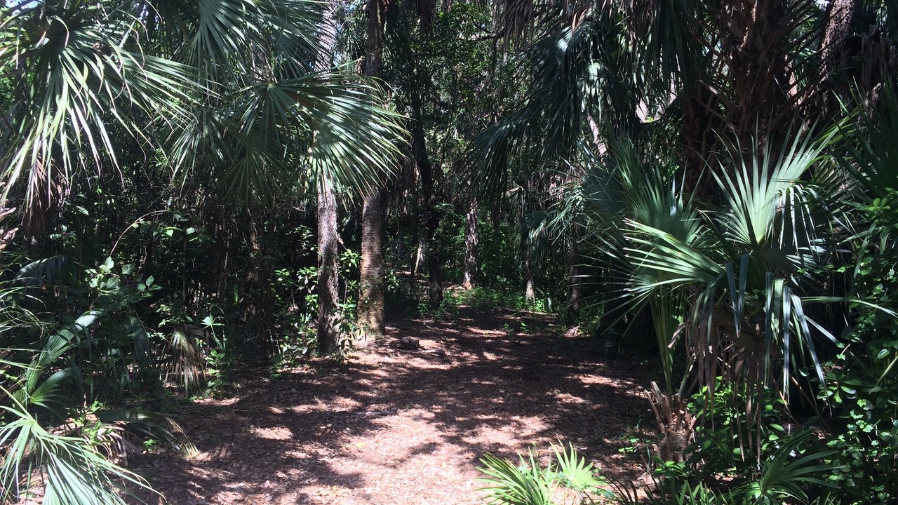 Photo of Others in Bonita Bay