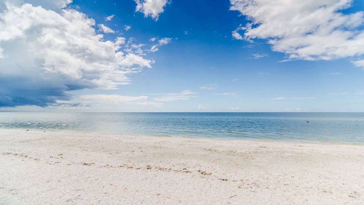 Photo of Others in Bonita Bay