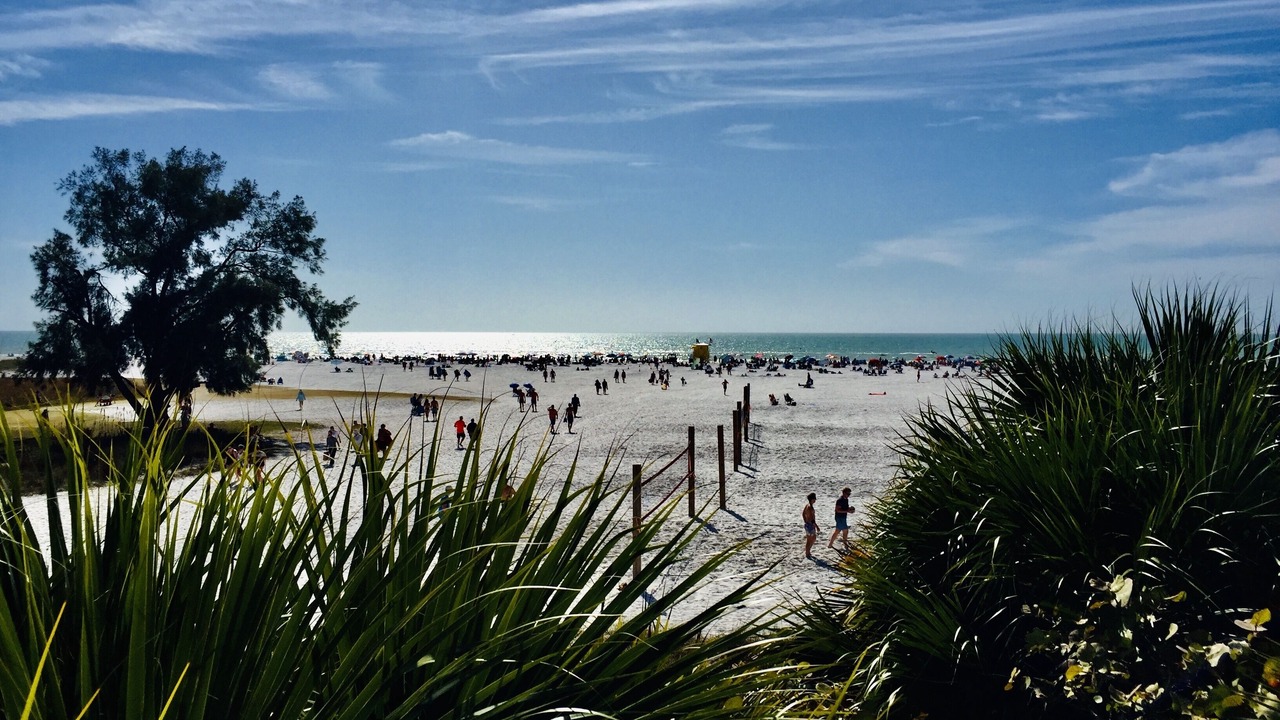 Photo of Others in Siesta Key