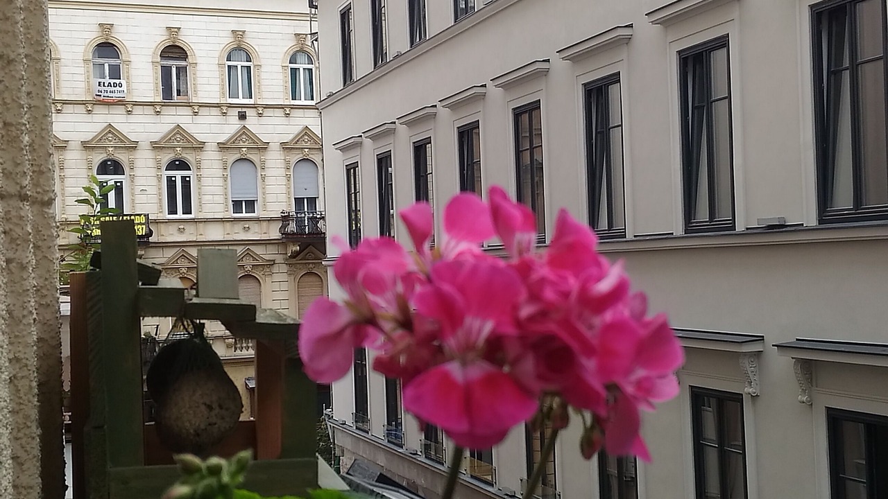 Photo of Patio Balcony in Terezvaros