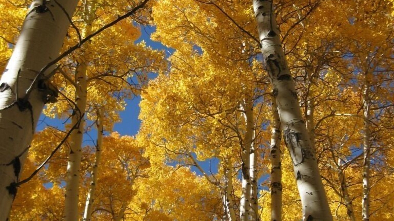 Photo of Outdoor in June Lake