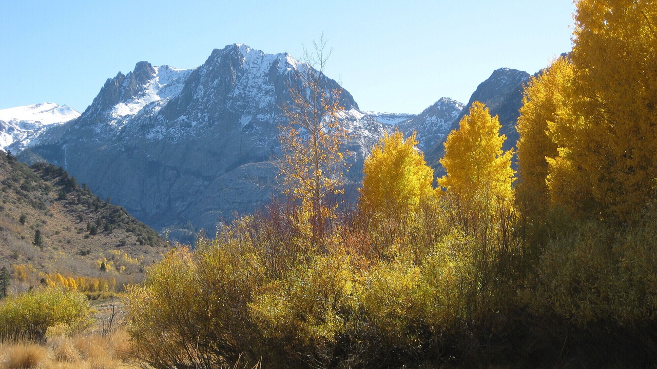 Photo of Outdoor in June Lake