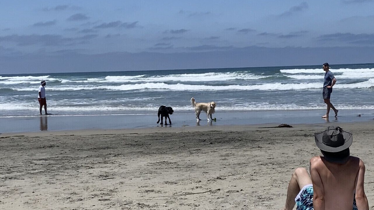 Photo of Others in Solana Beach