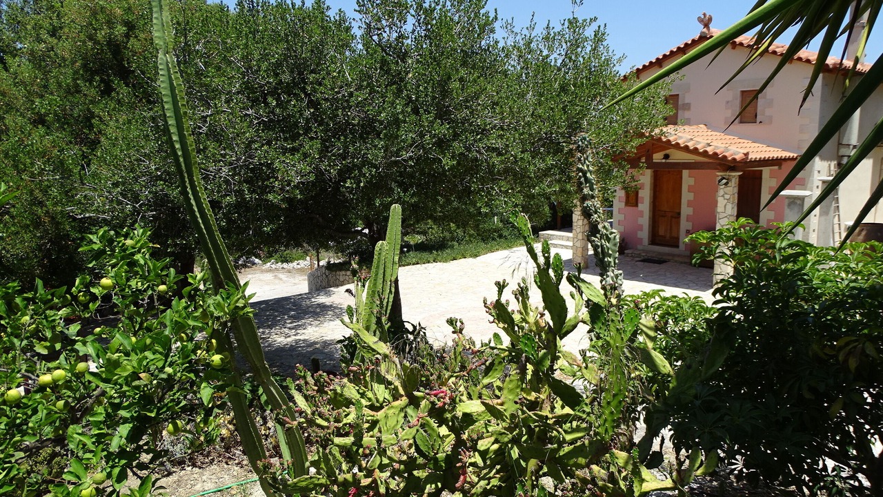 Photo of Outdoor in Douliana