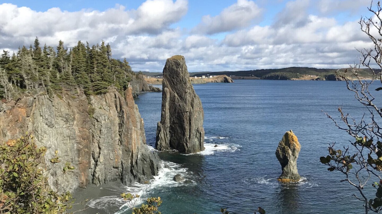 Photo of Others in Port Rexton
