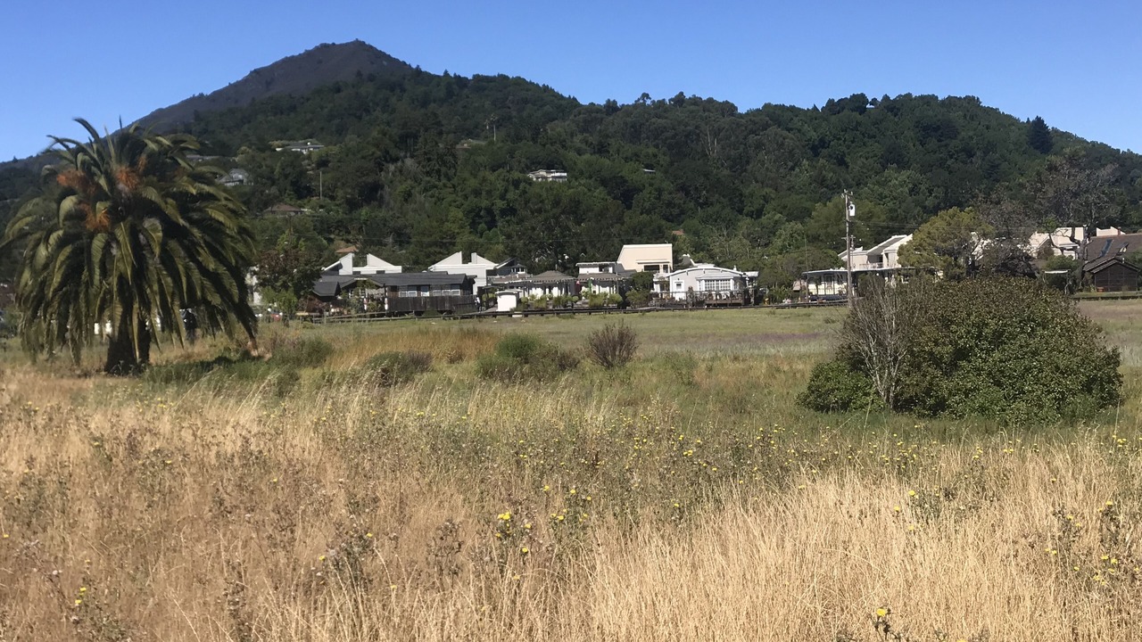 Photo of Others in Larkspur