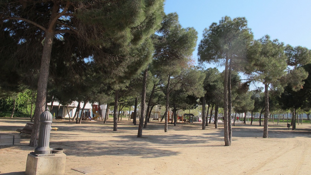 Photo of Others in Sant Adria de Besos