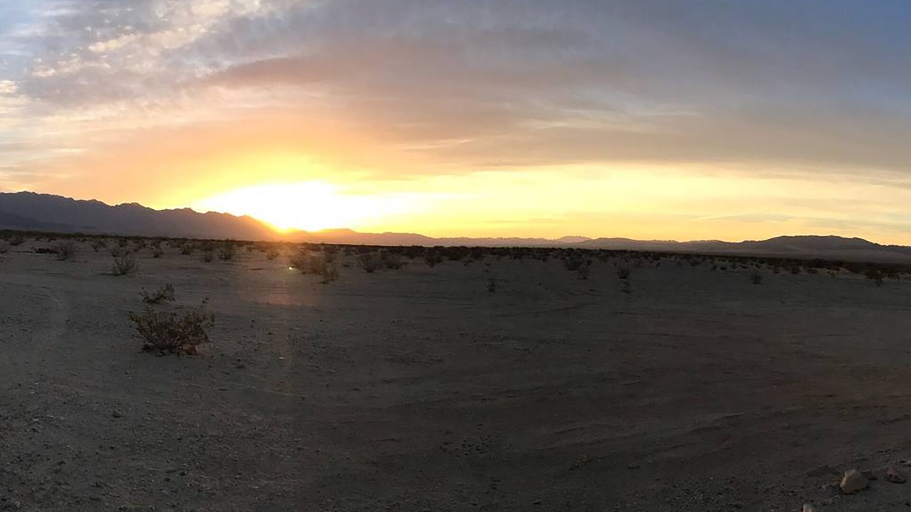 Photo of Others in Wonder Valley