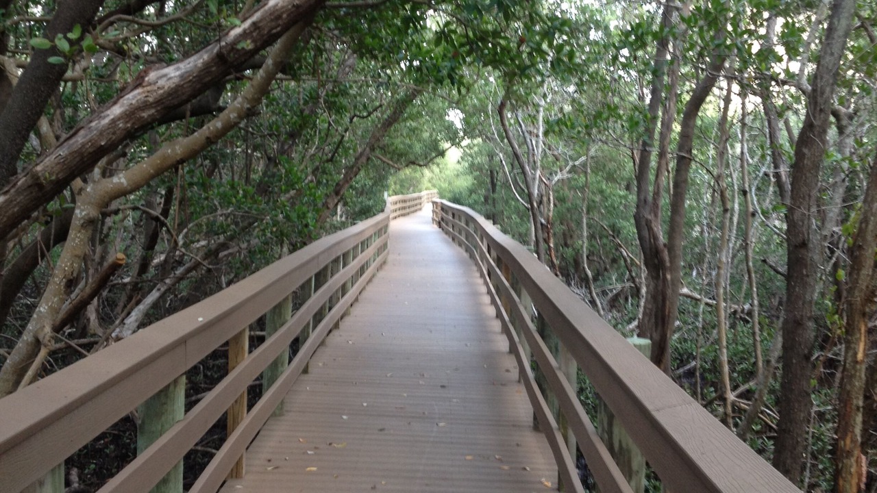 Photo of Others in Bonita Bay