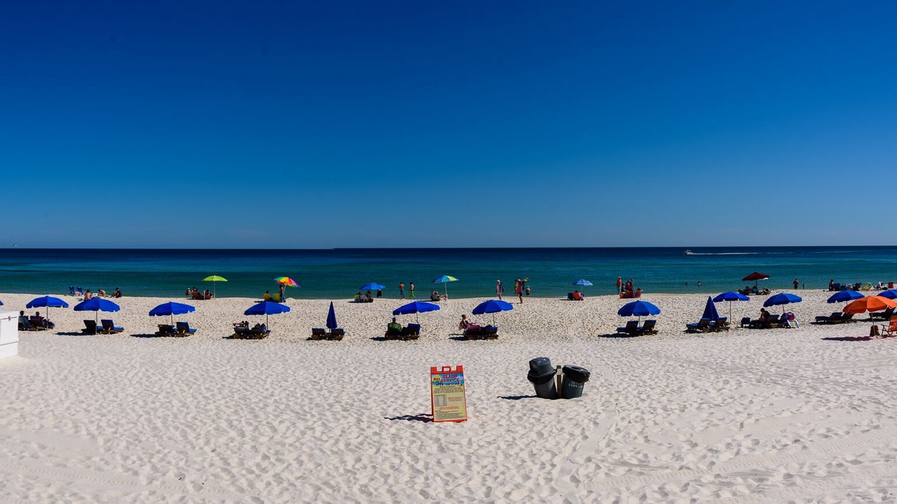 Photo of Others in Orange Beach