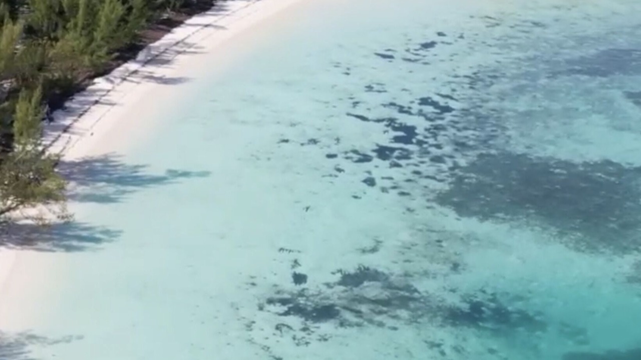 Photo of Others in Green Turtle Cay