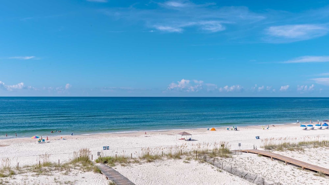 Photo of Others in Gulf Shores