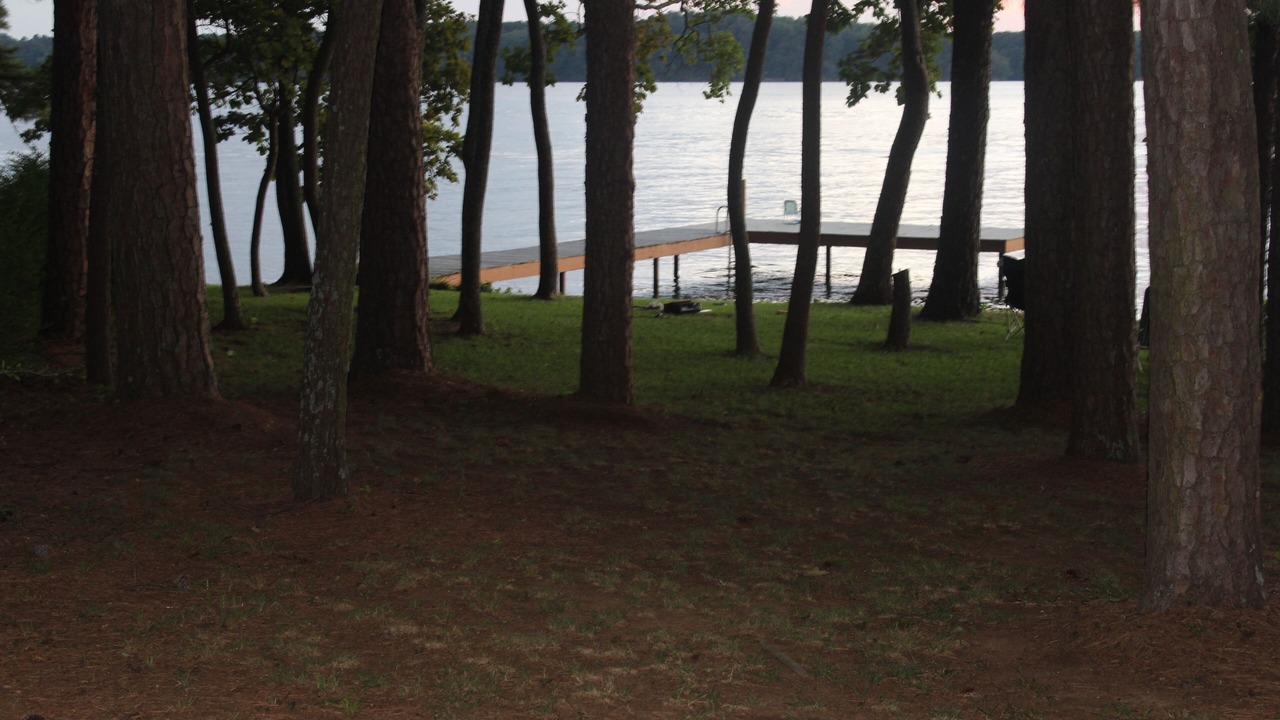 Photo of Others in Rogersville