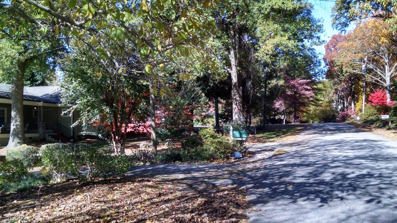 Photo of Outdoor in Ridgewood