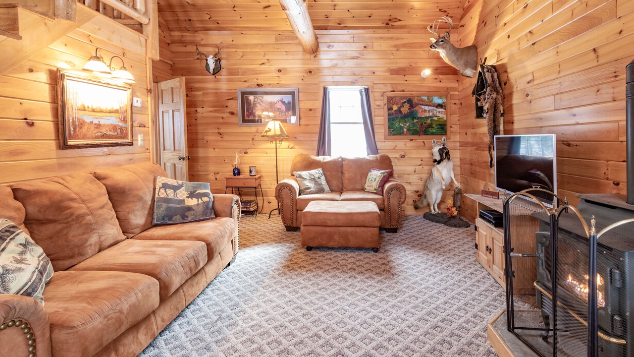 Photo of Livingroom in Alfred Station