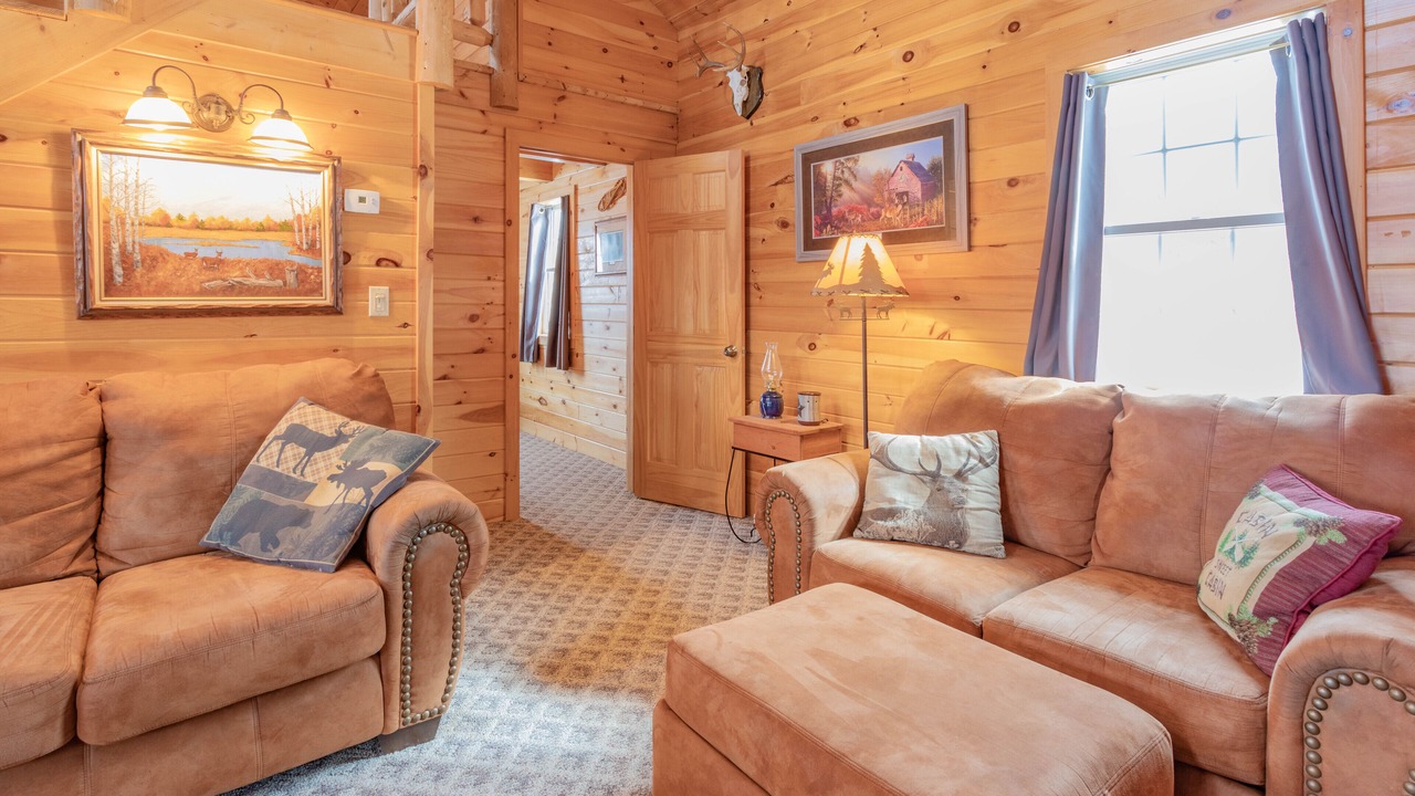 Photo of Livingroom in Alfred Station