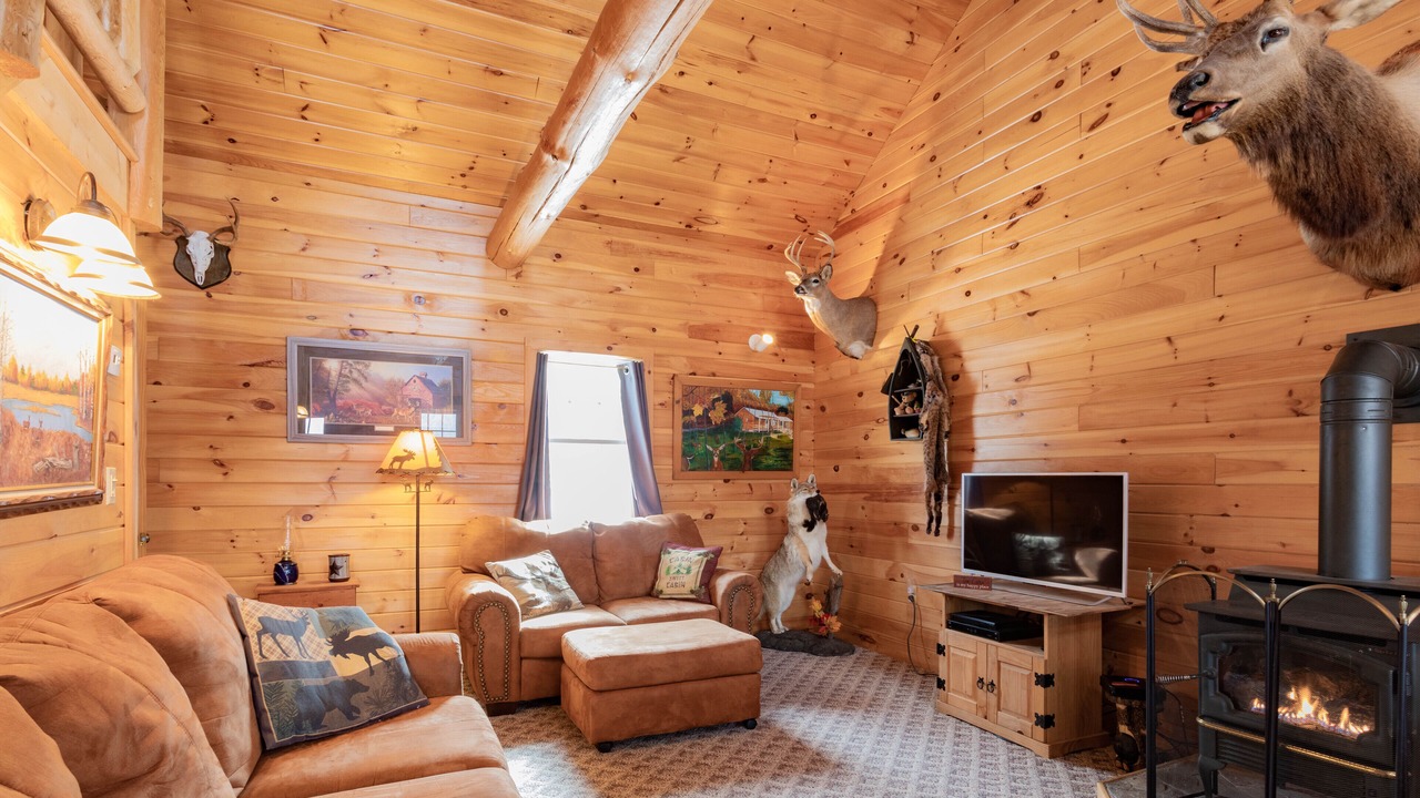 Photo of Livingroom in Alfred Station