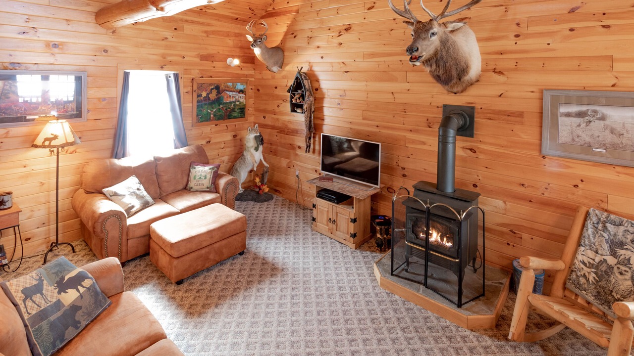 Photo of Livingroom in Alfred Station