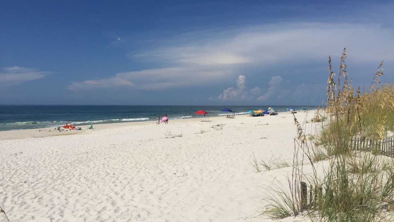 Photo of Others in Gulf Shores