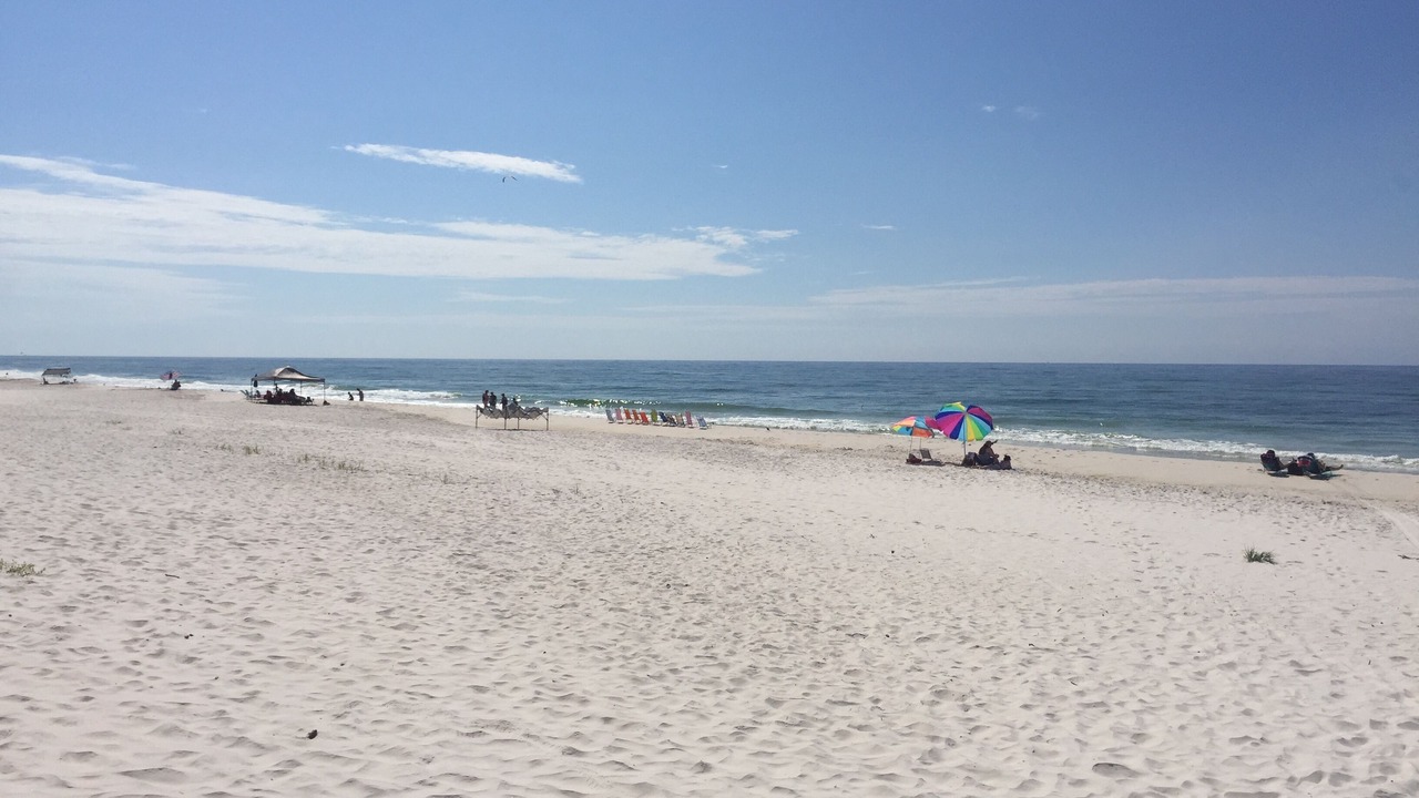 Photo of Others in Gulf Shores