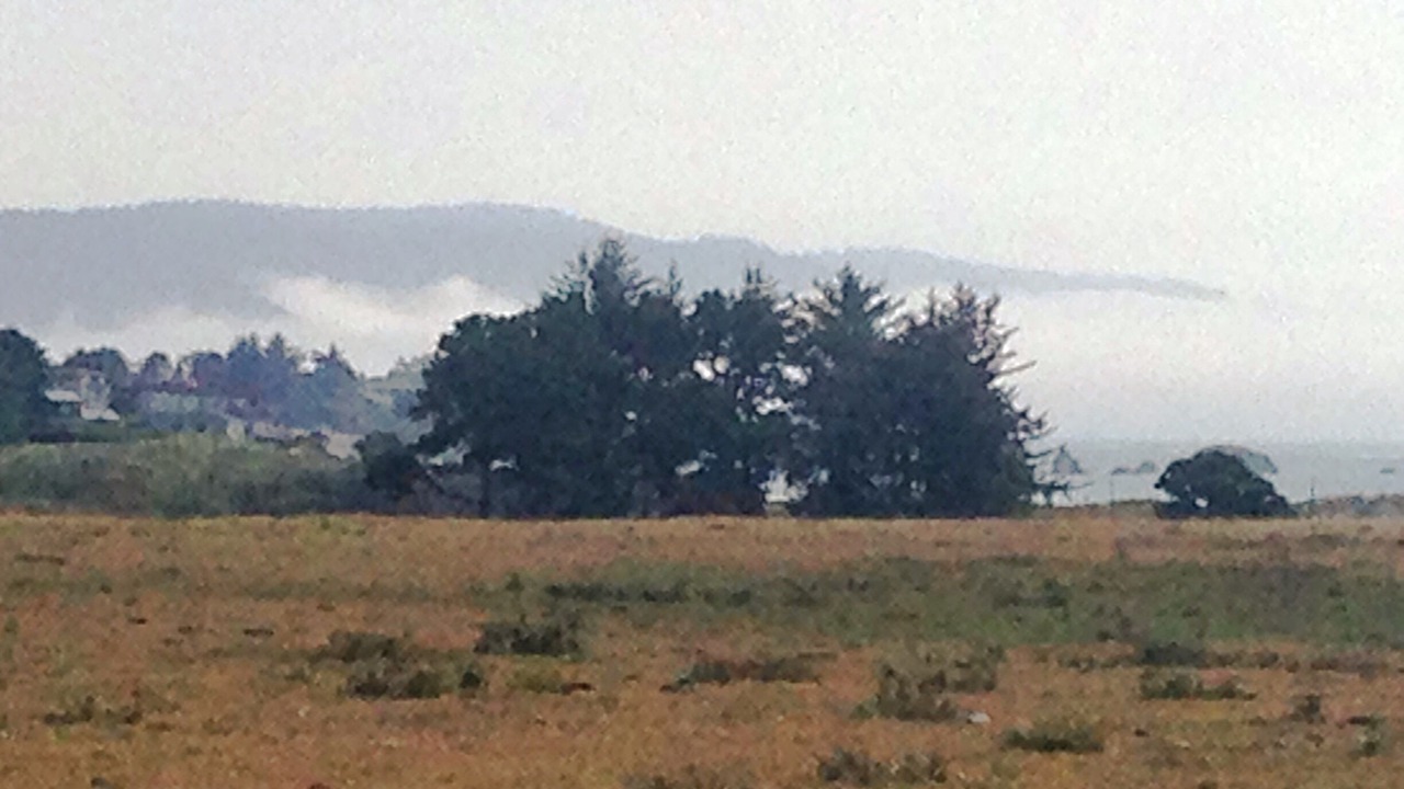 Photo of Others in Crescent City North