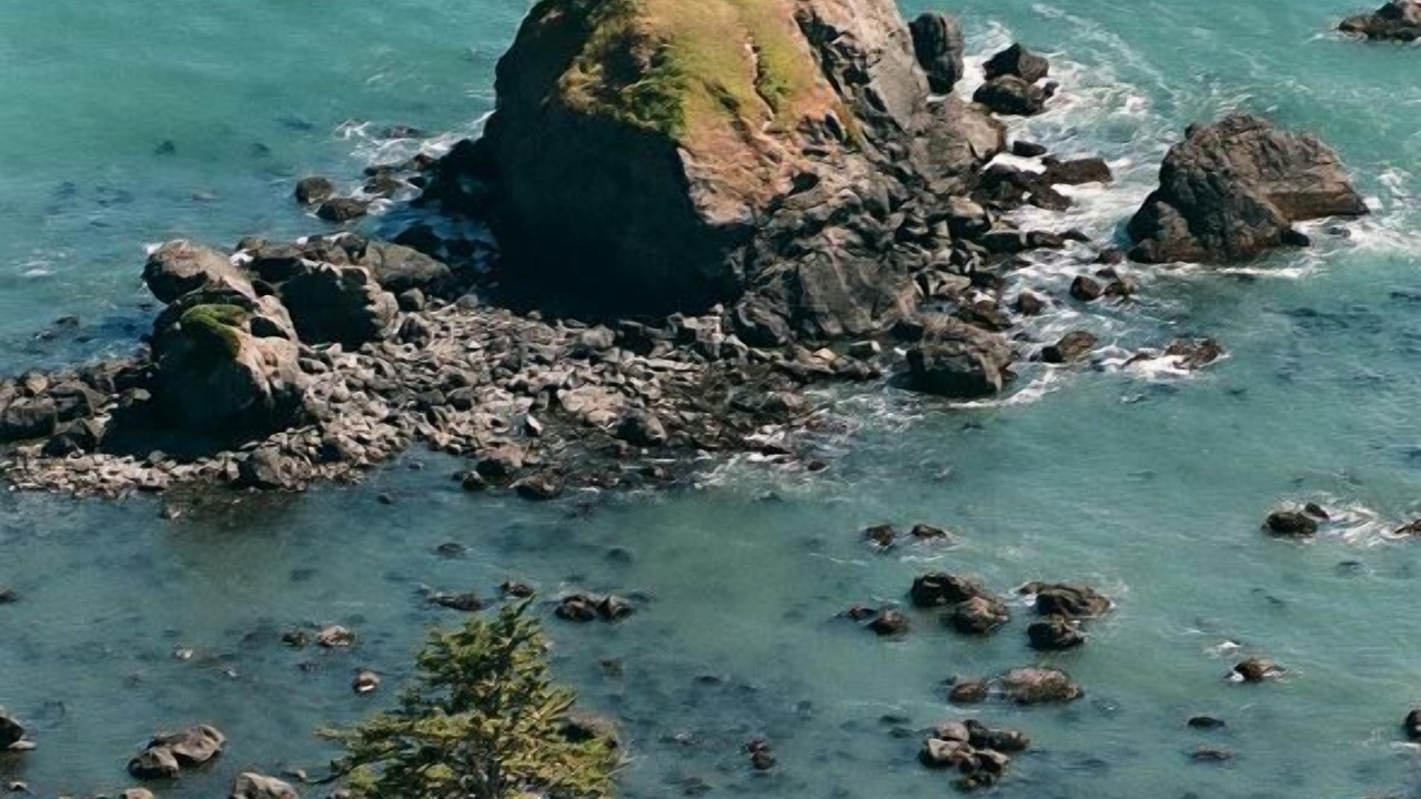 Photo of Others in Crescent City North